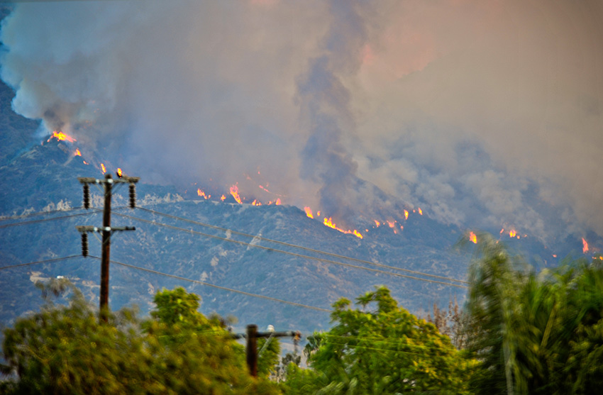 1��16�գ���������ɼ��������ɭ�ֻ����ֳ�������ȼ�յĻ����������ӱƽ����ų�Ⱥ��