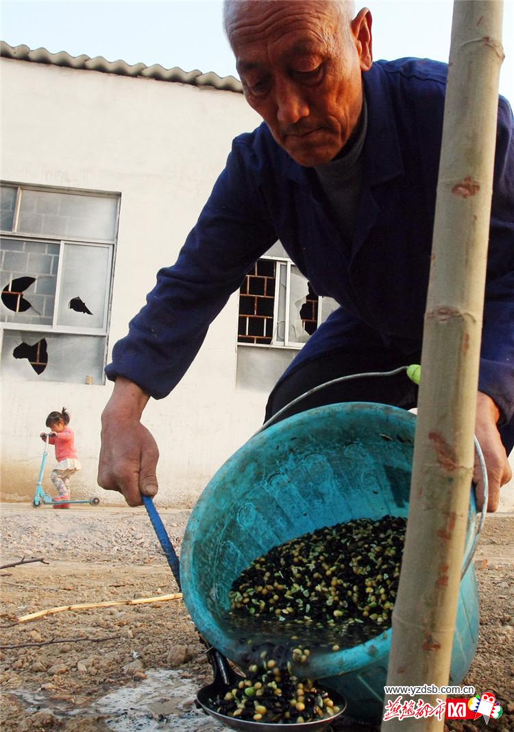 Աر׼ƥѪ
