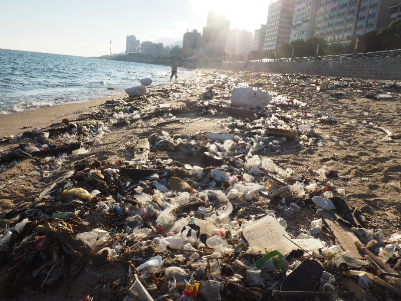 世界环境日:拒绝塑料污染 我们都是行动者