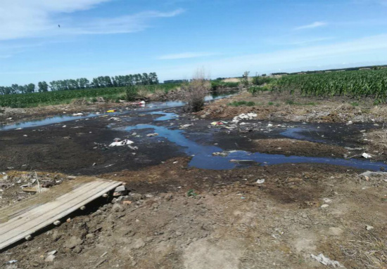 黑龙江省畜禽养殖污染监管无力 龙头企业环境污染严重