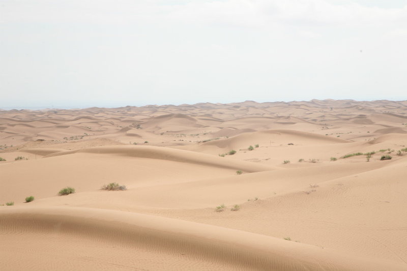 美麗的騰格裡沙漠