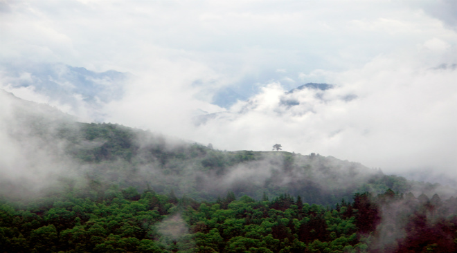 夏末秋初，層林盡染，雲霧繚繞中仿佛水墨的畫卷。