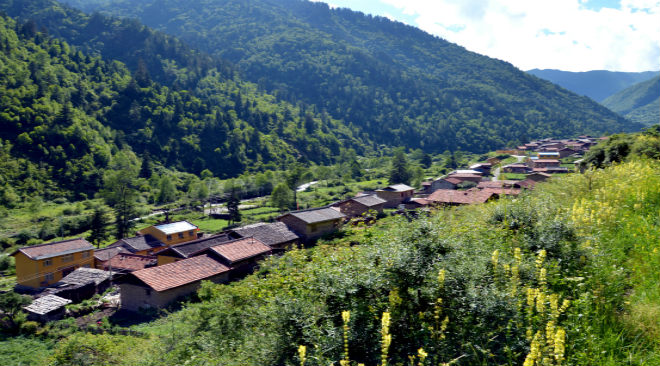 山腳下是岩窩寨村民的房屋，沿著一條山路整齊排列，每一座房子都有自己的溫馨。