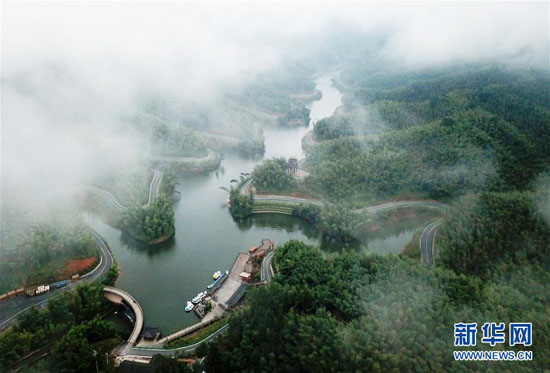 這是10月24日拍攝的貴州省赤水市的赤水竹海國家森林公園一角（無人機拍攝）。 新華社發（楊文斌 攝）