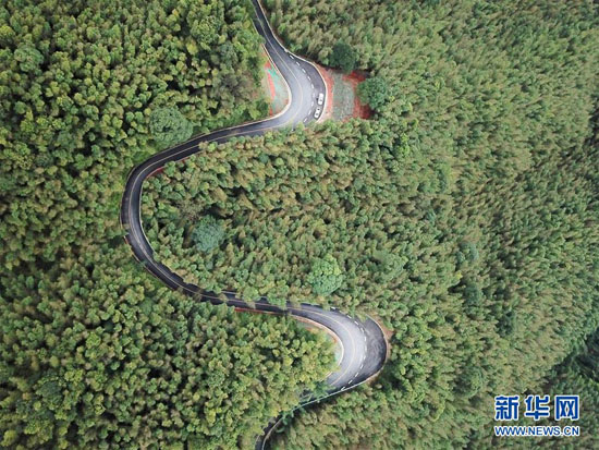 这是10月24日拍摄的贵州省赤水市的赤水竹海国家森林公园一角（无人机航拍）。新华社发（杨文斌摄）