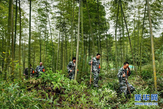 10月24日，贵州省赤水市葫市国有林场竹海工区的生态护林员在执行巡护任务。新华社记者李芒茫摄