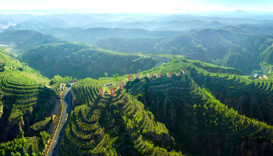 山西省吕梁市“三北”防护林混交造林模式建起的“绿色生态屏障”。国家林业和草原局供图