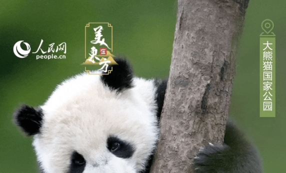 国际生物多样性日|看！珍稀动植物在这里“C位出道”