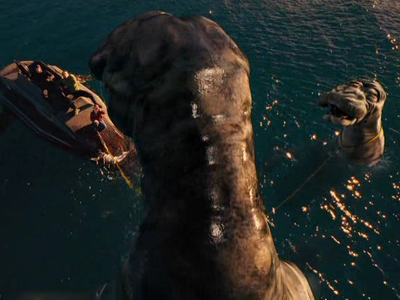 喀纳斯水怪再现(组图) (10)