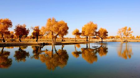 组图:新疆塔里木河下游生态环境改善