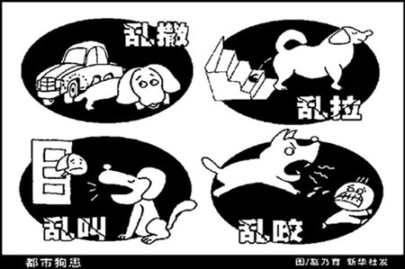 绿色提示:没伤口≠不传染 秋天小心狂犬病