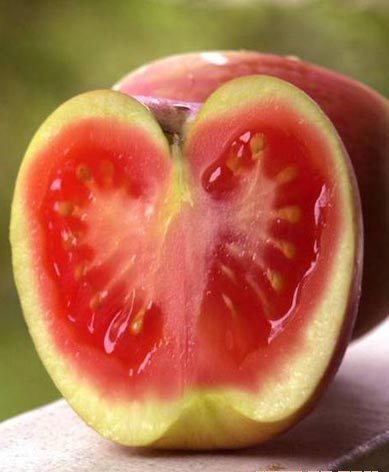 组图:当水果发生乱伦后 (4)