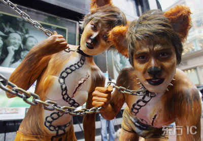 组图:韩国动物维权人员假扮成狗抗食狗肉--环保