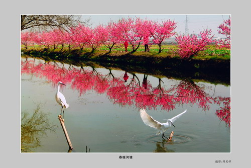 组图:每个中国人都应该参观的环保图片展(一) 