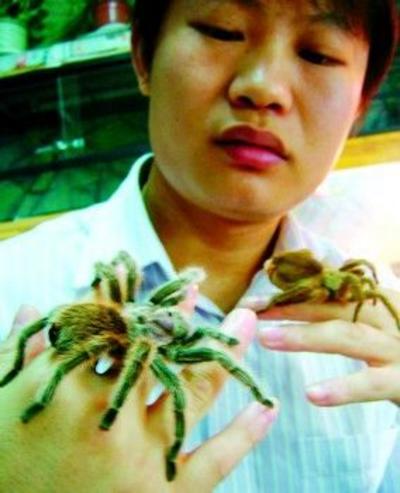 小伙养11种宠物蜘蛛 称喜欢蜘蛛爬身上的感觉