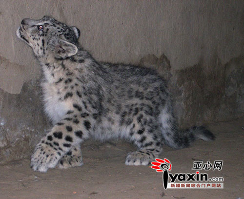 http://env.people.com.cn/mediafile/200811/13/F200811130939591914297091.jpg