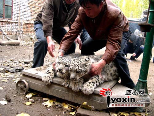http://env.people.com.cn/mediafile/200811/13/F200811130939592440317864.jpg