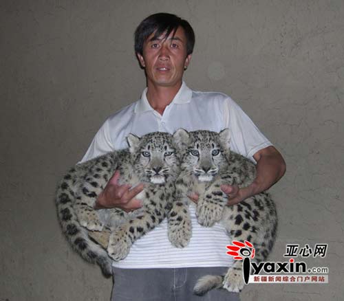 http://env.people.com.cn/mediafile/200811/13/F200811130939593478312591.jpg