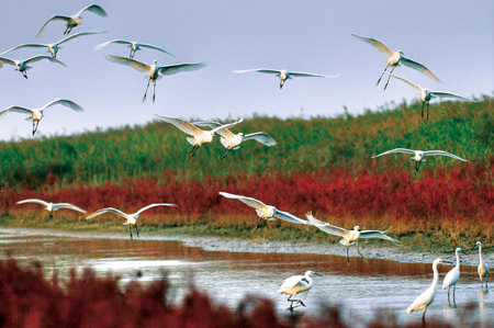 四条河入海猜成语_看图猜成语