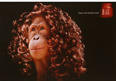 舱瓜祡┣笆届瓜 (5)--吏玂--チ呼