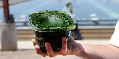 美国藻类农场:商业模式和生物燃料的双重试验