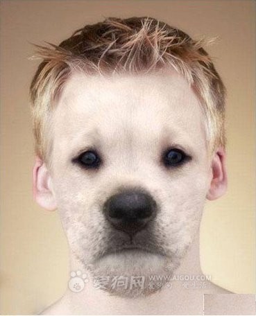 组图:如果有一天 当动物们乱伦后