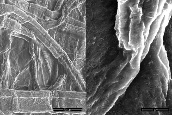 左:电子显微镜扫描下的普通纸张;右:涂上碳纳米管墨水的纸张.