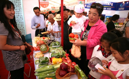 2010内蒙古(扎兰屯)第三届绿色食品交易会开幕