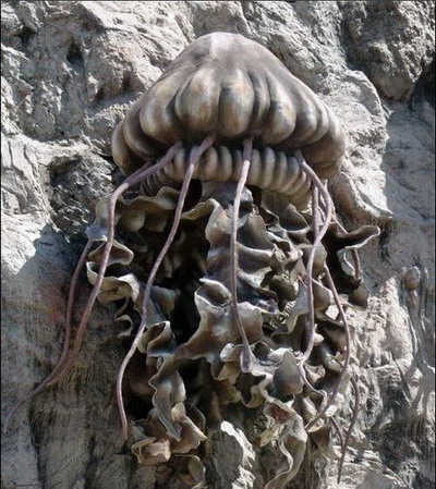 揭秘世界上体型最大的隐秘海洋杀手 巨型水母